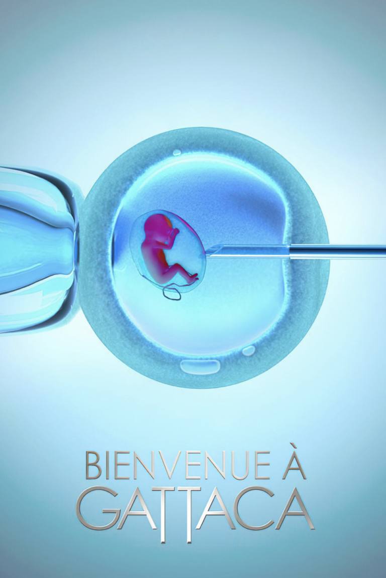 Capture d’écran 2026-01-25 à 17.43